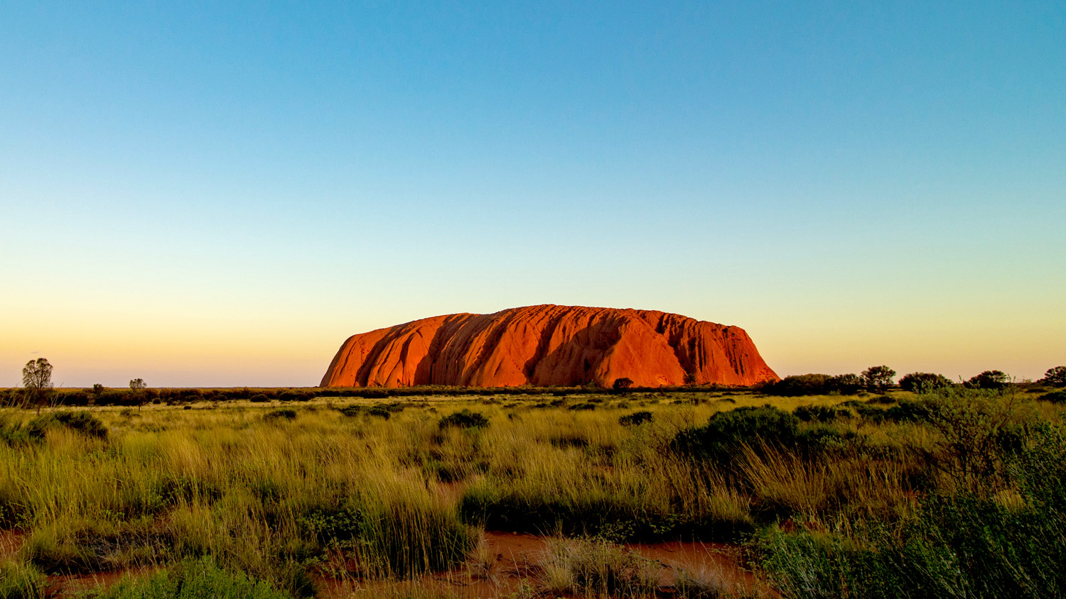 Crikey! We have a new partner in Australia!